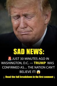 30 Minutes Ago in Washington, D.C., Donald Trump Was Confirmed as…