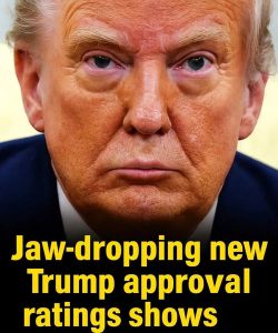 The latest polls on Trump’s approval are downright astonishing 🔽read more in comment