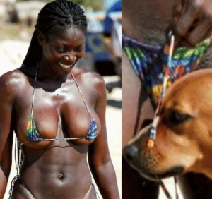 What It Really Means When Your Dog Sniffs Your Genital Area
